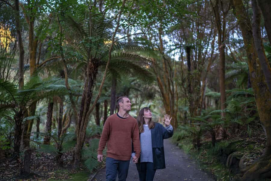 Rotorua: Hell's Gate Geothermal Walk - Hell’s Gate Geothermal Reserve: what this $26 ticket buys you
