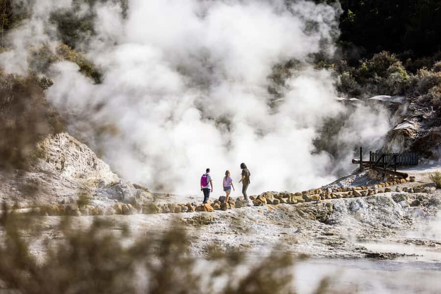 Rotorua: Hell's Gate Geothermal Walk - The mud foot pool and Māori carving at the end of the walk