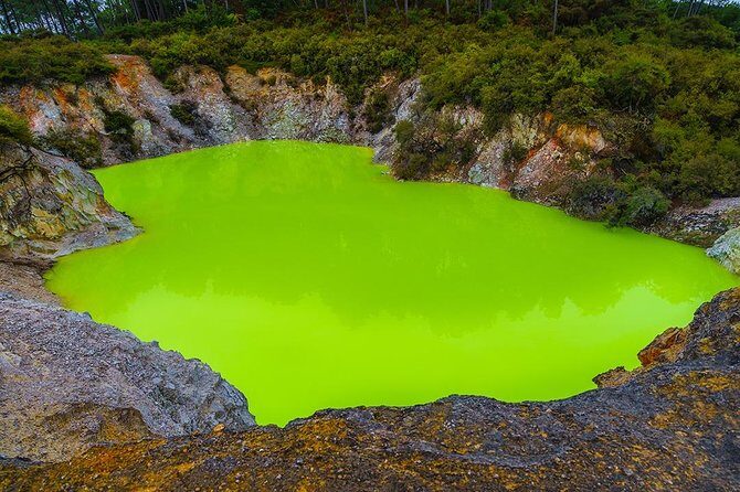 Rotorua Highlights inc. Waiotapu & Te Puia Day Tour from Auckland - Rotorua city driving tour: the quick-hit highlights
