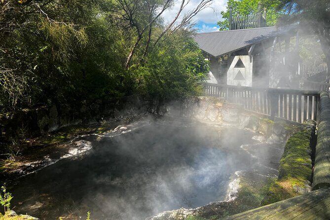 Rotorua Highlights Tour - From Tauranga To Rotorua: The Pace That Makes This Tour Work