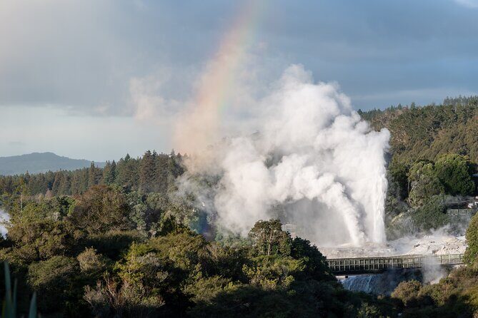 Rotorua Highlights Tour inc. Te Puia Tour, Lunch & Cultural Show - Te Puia: Pōhutu Geyser, Māori arts, and a cultural show day