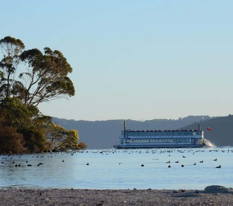 Rotorua: Lake Rotorua Cruise with Buffet Dining Option - What the 90-minute cruise feels like on board
