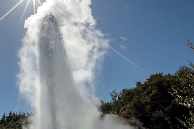 Rotorua Māori Village and Activity Combinations from Auckland - Rotorua on Your Terms: How the Afternoon Self-Guided Time Works