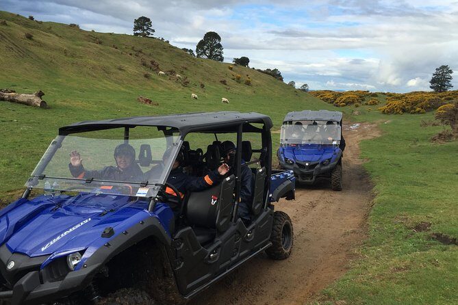 Rotorua Off-Road 4WD Buggy Adventure - Native Bush Driving on Old Forestry Trails