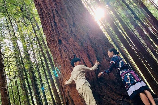 Rotorua Private tour with Hotspring - 10–11 hours of private comfort: timing and what to pack