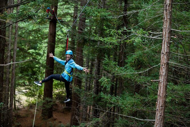 Rotorua: Redwoods Adventure 3-Hours - Key things that make this Redwoods combo worth it
