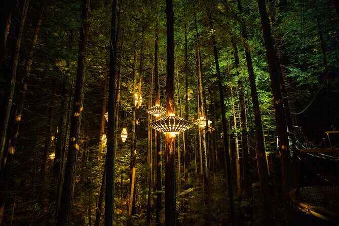 Rotorua: Redwoods Adventure 3-Hours - Stop 1: Guided Redwoods Altitude at Whakarewarewa Forest