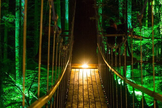 Rotorua: Redwoods Adventure 3-Hours - Glowworms eco-cave: a short guided stop that adds wonder
