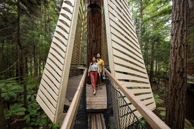 Rotorua: Redwoods Adventure 3-Hours - Should you book Redwoods Adventure: 3-Hours?