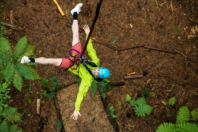 Rotorua: Redwoods Adventure 3-Hours - Stop 2: Daytime Treewalk plus Nightlights Fast Pass (self-paced fun)