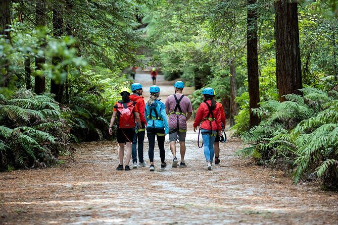 Rotorua: Redwoods Altitude High Ropes Adventure - Key things to know before you go
