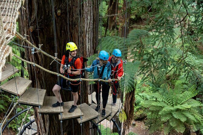 Rotorua: Redwoods Altitude High Ropes Adventure - The high ropes loop: 25 bridges, 3 ziplines, plus the jump