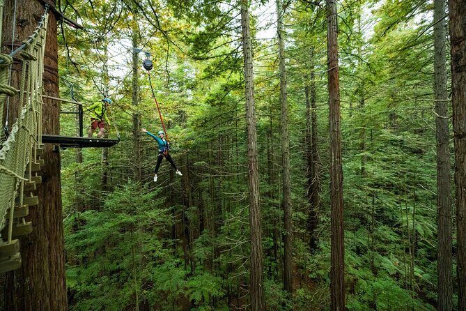 Rotorua: Redwoods Altitude High Ropes Adventure - Getting the forest story while you’re above it