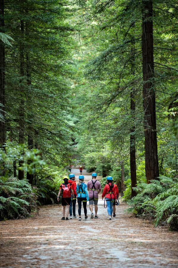 Rotorua: Redwoods Altitude High Ropes Adventure - Practical tips: what to wear, what to do, and what to avoid