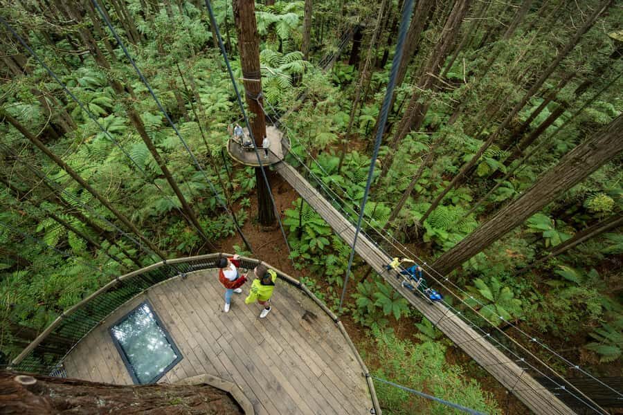 Rotorua: Redwoods Altitude, Nighttime Fast Pass, & Treewalk - Key Things That Make This Combo Worth Your Time