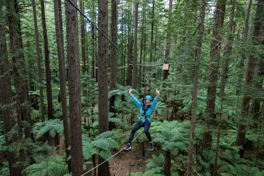 Rotorua: Redwoods Altitude, Nighttime Fast Pass, & Treewalk - Price and Value: Is This $118 Combo a Smart Use of Your Time?