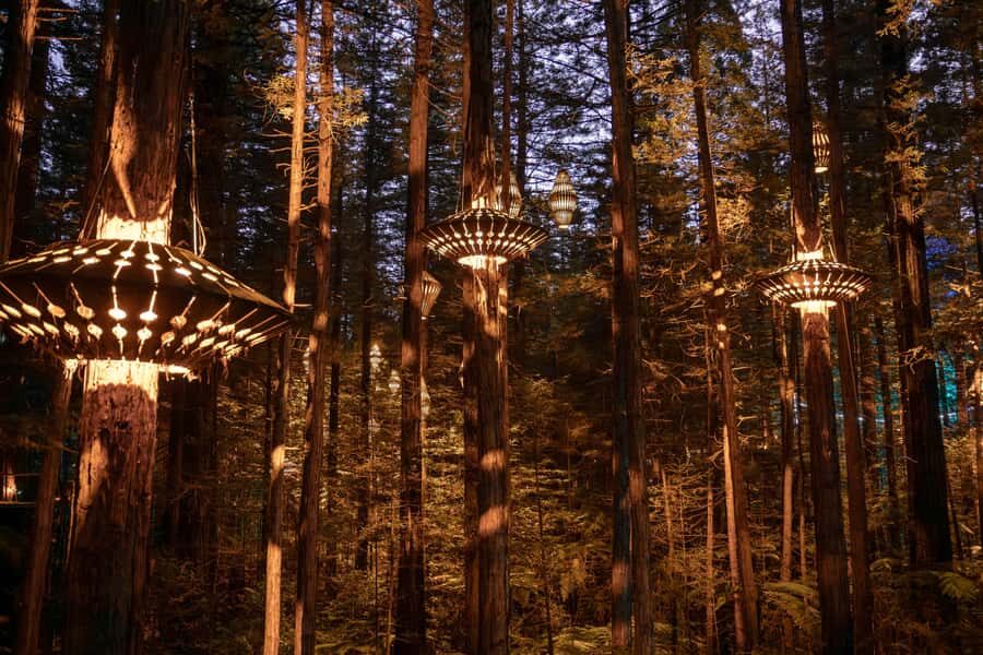 Rotorua: Redwoods Altitude, Nighttime Fast Pass, & Treewalk - Altitude at 25 Metres: The Treetop Course Portion That Gets Your Heart Moving
