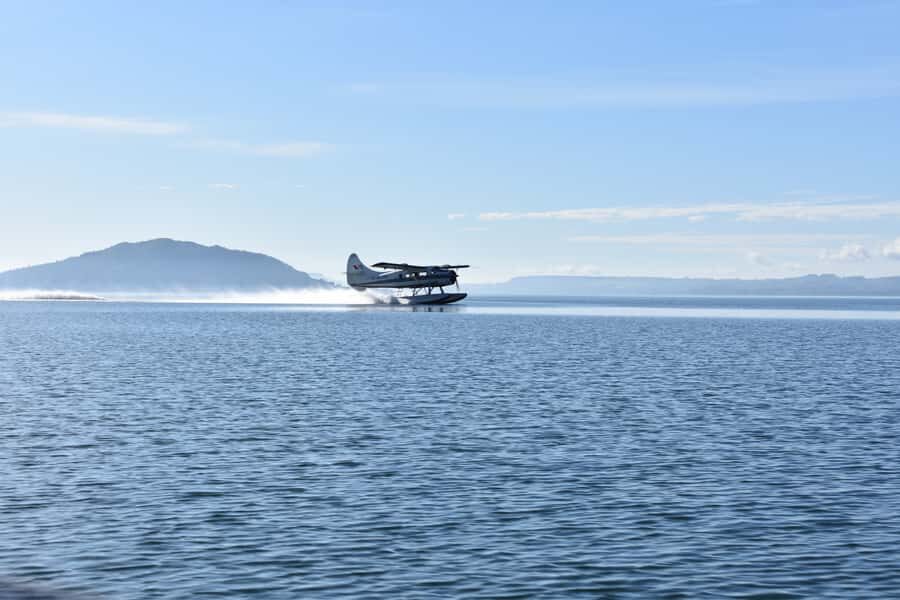 Rotorua: Scenic Flight over Mt Tarawera & Waimangu Valley - Meeting at the Rotorua Lakefront: What the Start Feels Like
