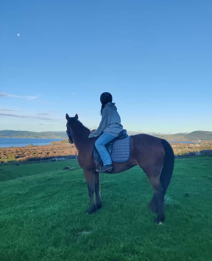 Rotorua: Scenic Horse Trek - Key highlights worth putting on your radar