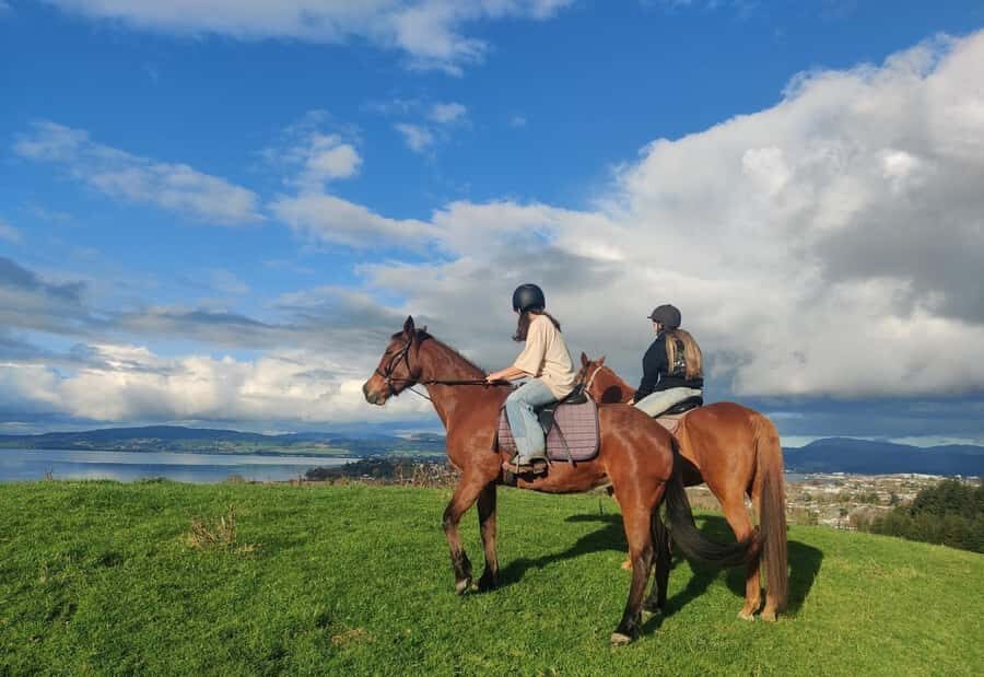 Rotorua: Scenic Horse Trek - A Calm One-Hour Ride With Big Lake Views