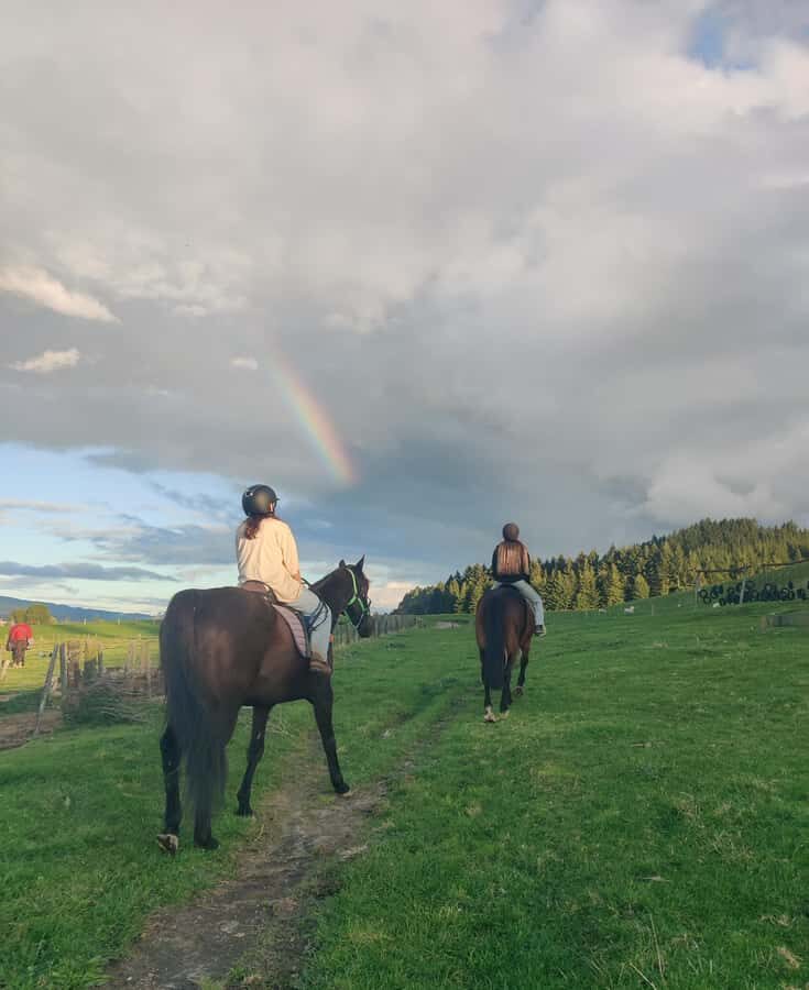 Rotorua: Scenic Horse Trek - The Trail Plan: Rolling Farmland and Mt Ngongotaha Foothills