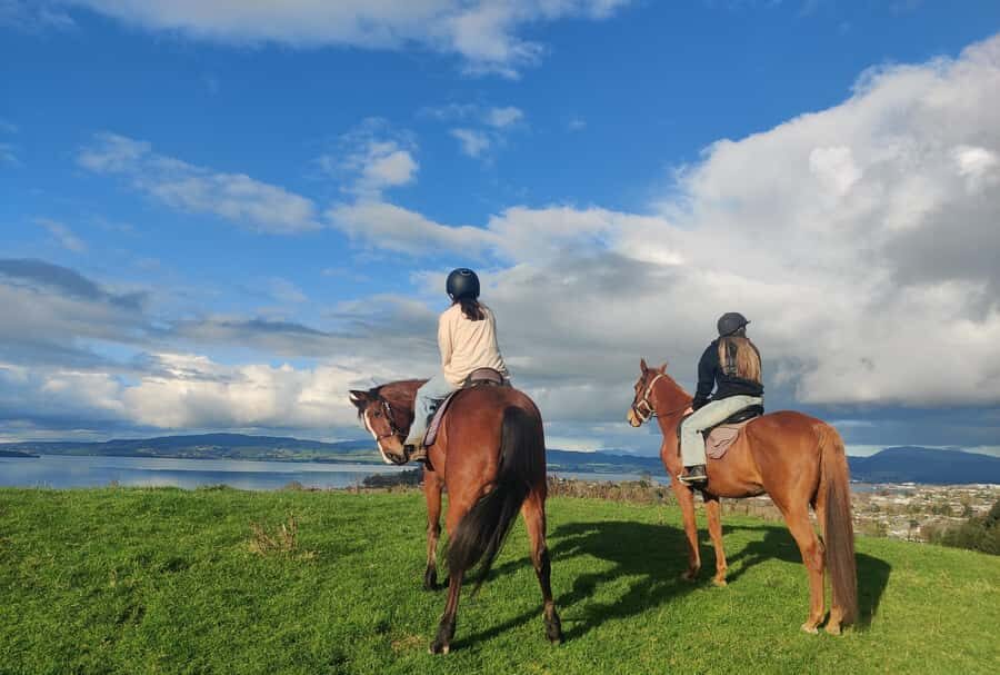 Rotorua: Scenic Horse Trek - Before You Mount: Matching, Safety Briefing, and What to Wear