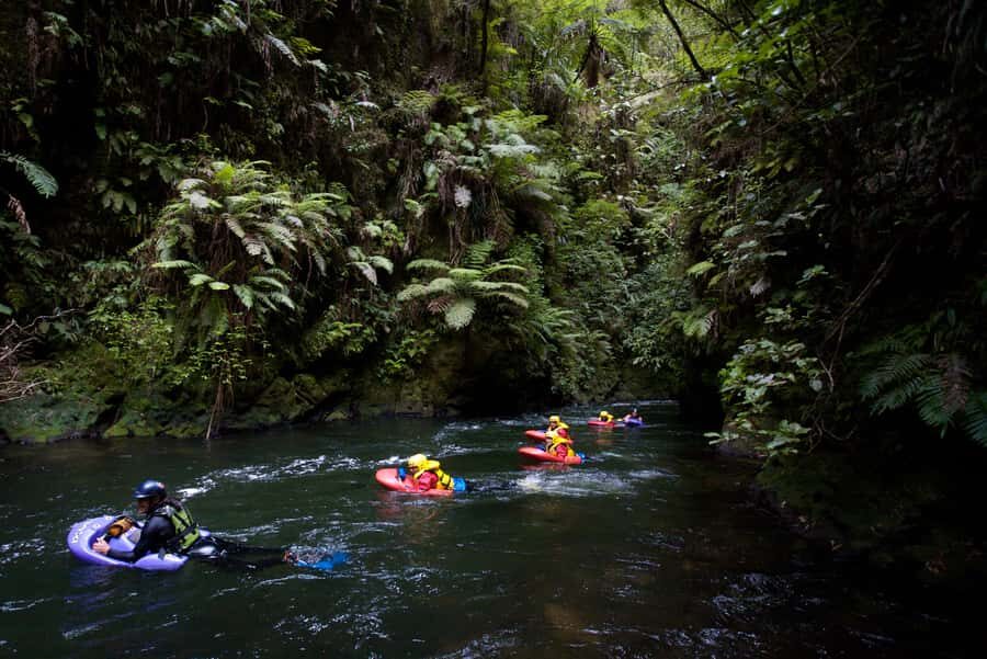 Rotorua Sledging: Kaituna White Water River Board Experience - Kaituna Sledging: The Hands-On White Water You Control