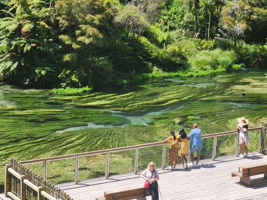 Rotorua & Taupo DayTour Waiotapu & Huka Falls from Auckland - Rotorua in One Guided Block: Why It Works