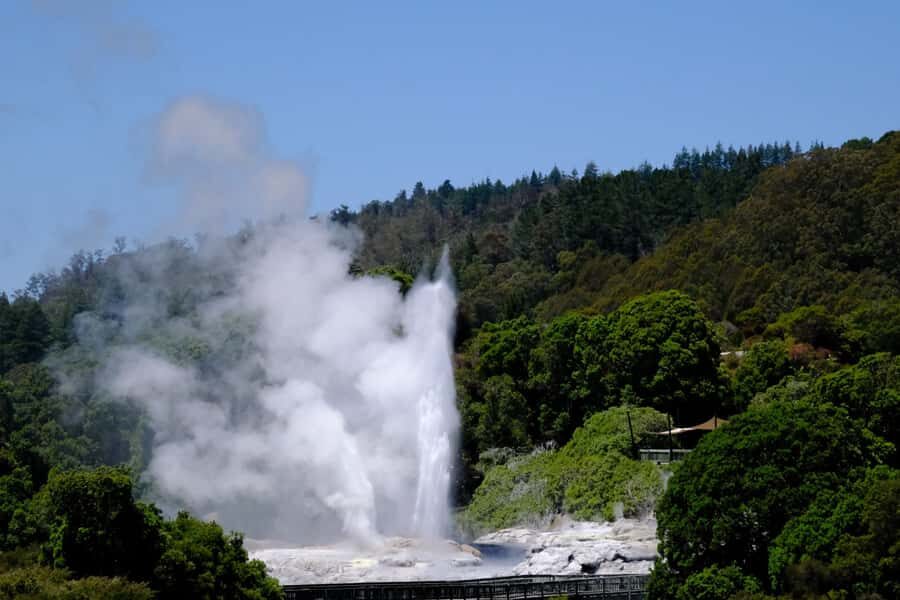 Rotorua: Te Puia Maori Village and Rejuvenation Tour - Stepping into Te Puia: thermal valley + Maori life