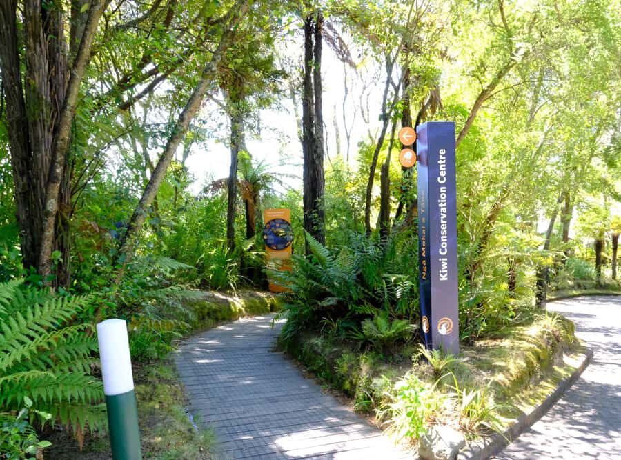 Rotorua: Te Puia Maori Village and Rejuvenation Tour - Polynesian Spa Deluxe Lake Spa: where you reset