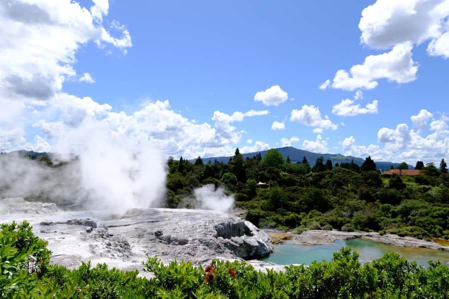 Rotorua: Te Puia Maori Village and Rejuvenation Tour - Coming back to Tauranga with less stress
