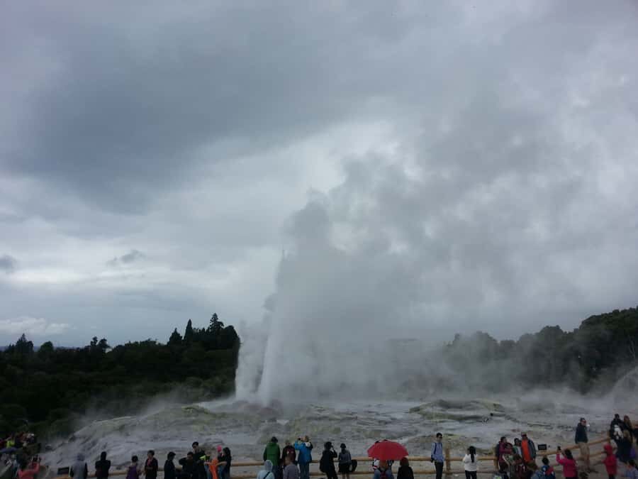 Rotorua: Te Puia Maori Village and Rejuvenation Tour - Who this tour fits best