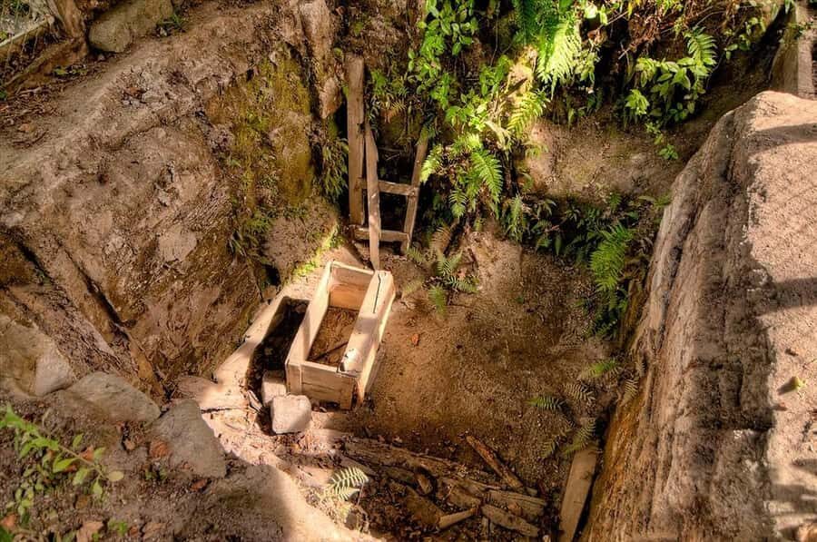 Rotorua: The Buried Village of Te Wairoa - Walking the buried village grounds and archaeological sites