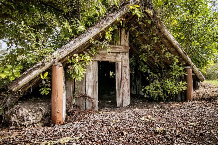 Rotorua: The Buried Village of Te Wairoa - Smith & Co cafe: a smart break that doesn’t derail your day