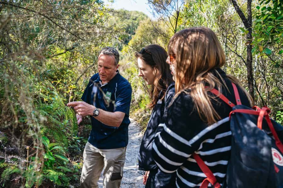 Rotorua: 'Thermal Path Tour' Geothermal half day Tour - Price and value: what $89 gets you (and what it doesn’t)
