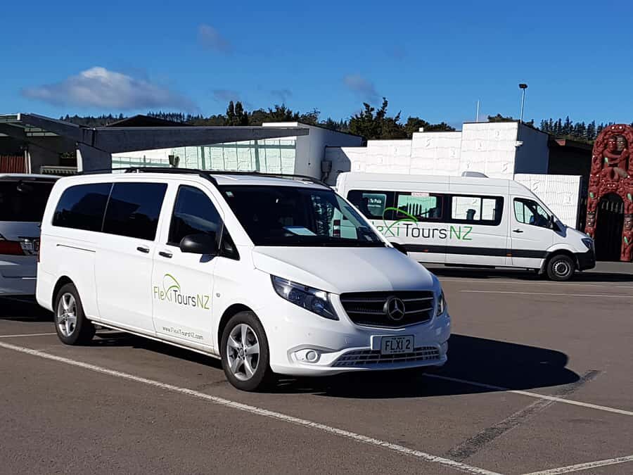 Rotorua to Auckland - Afternoon Transfer with Waitomo Caves - Key highlights worth caring about