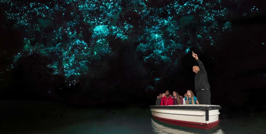 Rotorua to Auckland - Afternoon Transfer with Waitomo Caves - How the 7-hour afternoon flow works from Rotorua to Waitomo to Auckland