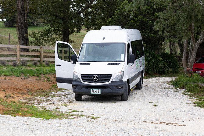 Rotorua to Auckland Afternoon Transfer with Waitomo Glow Worms - Key highlights you’ll actually care about
