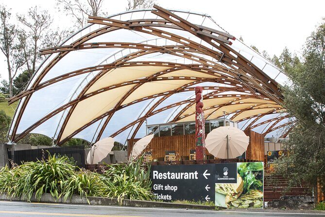 Rotorua to Auckland Afternoon Transfer with Waitomo Glow Worms - Who should book this tour (and who should reconsider)