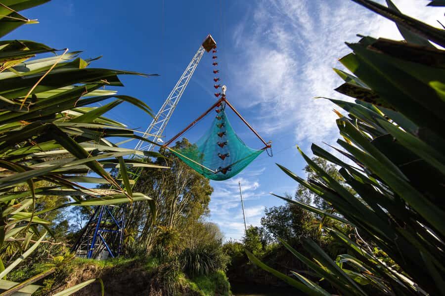 Rotorua: Velocity Valley - NEW Vertigo 43m drop - Vertigo at Velocity Valley: the 43m freefall in plain terms