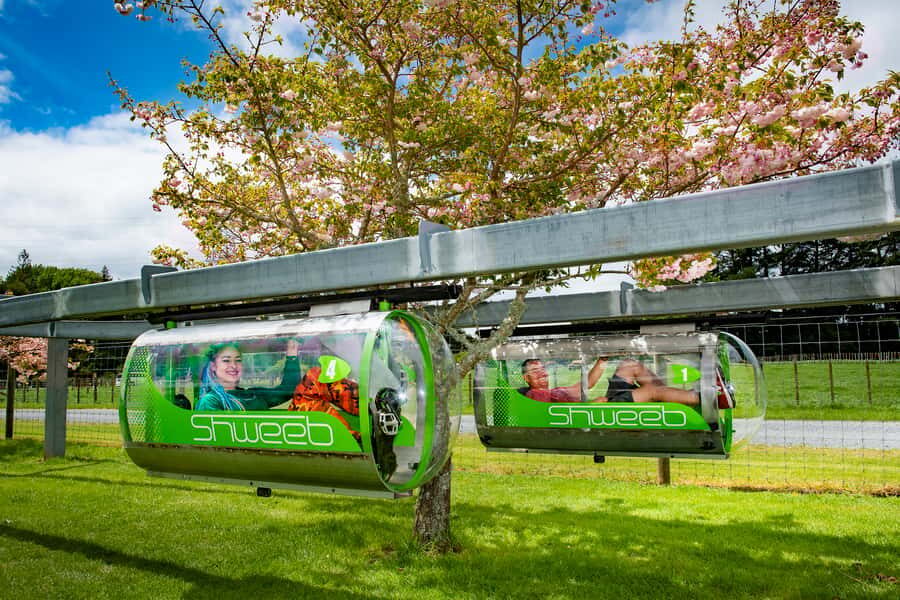 Rotorua: Velocity Valley - One Ride Pass - Key Things You Should Know Before You Go