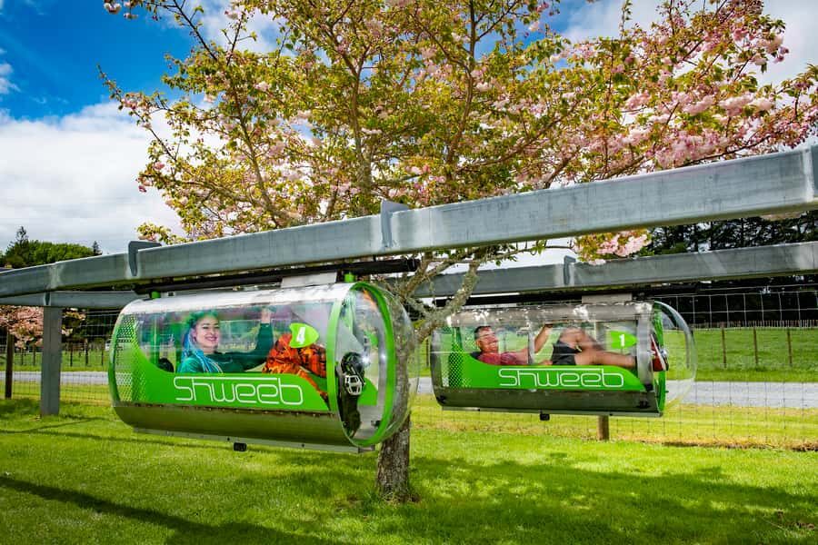 Rotorua: Velocity Valley - Two Ride Pass - Arriving at the Park: Meeting Point, Parking, and Real Timing