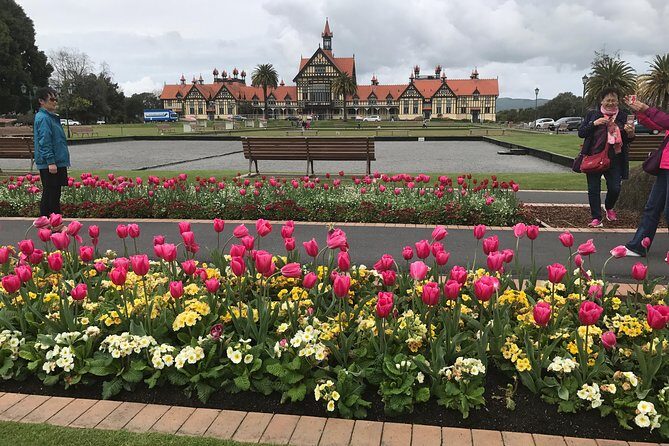 Rotorua via Kiwi/lakes country & a visit to iconic Whakarewarewa - The Scenic Route to Rotorua: Redwood, Blue Lake Views, and River Stops