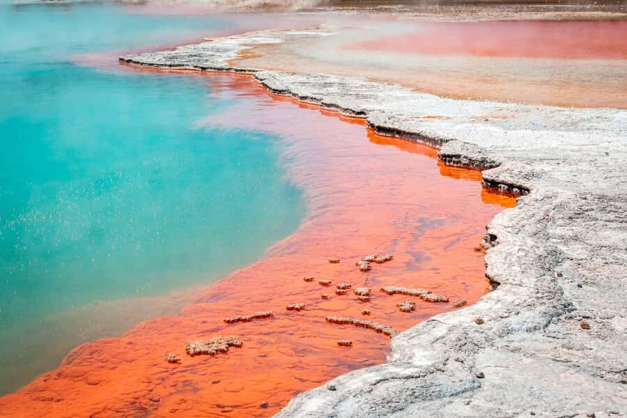 Rotorua: Wai-O-Tapu Geothermal Park Entry Ticket - Touring the park on your own: three loops and how to choose