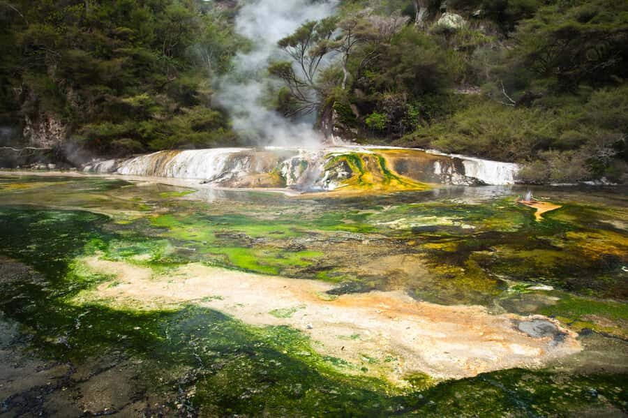 Rotorua: Waimangu Volcanic Valley Entry Ticket - Terraces, Steam Vents, and Hot Springs: Where the Park Feels Alive