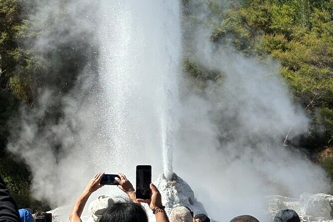Rotorua: WaiOtapu & Redwood forest & Blues springs from Auckland - Why this Rotorua day trip from Auckland actually makes sense