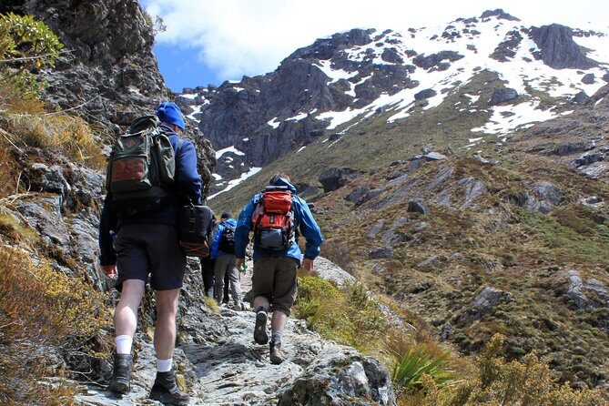 Routeburn Track Guided Hike (Full Day) - Key things I’d plan around on this Routeburn guided day