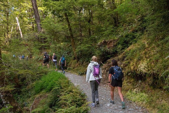 Routeburn Track Guided Hike (Full Day) - How the day actually plays out (10 hours, pickup to return)