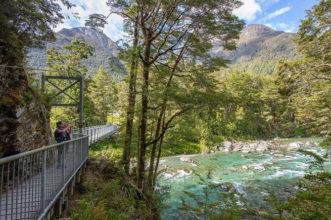 Routeburn Track Guided Hike (Full Day) - Forest start: southern beech and podocarps before the views