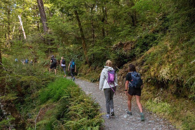 Routeburn Track Guided Walk (Half-Day) - What This Routeburn Half-Day Really Is